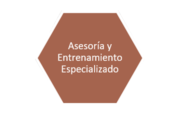 1 slide asesoria