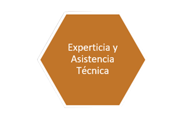 3 slide experticia