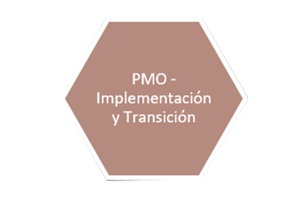 5 slide pmo
