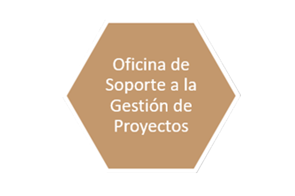 6 slide soporte gestión